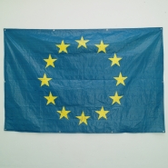 Doma vyrobená vlajka EU, (sprej na celtovině, 280x180cm), 2009, instalace v ENSA Dijon