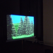 Y.C.R.M.D., 2009, videoinstallation, 7' 