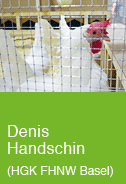 Denis Handschin