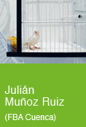 Julián Muñoz Ruiz