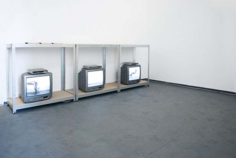 Attempt #6 and #2, 2010, installation view