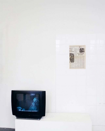 Wasser ist klarer als Blut (Voda je jasnější než krev), 2010, instalace (kresby, fotografie, video)