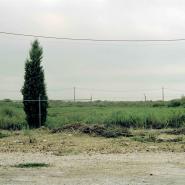 Postcards from the city of Raduzhnyy, postcard, 2008 Postcards from the city of Raduzhnyy, postcard, 2008