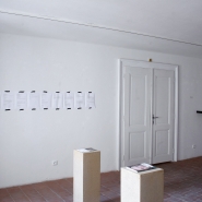 Look what you made me do, 2009, installation in the Gallery At the White Unicorn Look what you made me do, 2009, installation in the Gallery At the White Unicorn