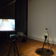 Y.C.R.M.D., 2009, videoinstallation, 7' 