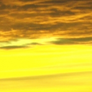 She Wants Crocodiles, 8‘ (video still) She Wants Crocodiles, 8‘ (video still)