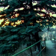 She Wants Crocodiles, 8‘ (video still) She Wants Crocodiles, 8‘ (video still)