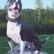 Tay, from the cycle My friends and their dogs, oil/canvas, 80x62 cm, 2007 Tay, from the cycle My friends and their dogs, oil/canvas, 80x62 cm, 2007